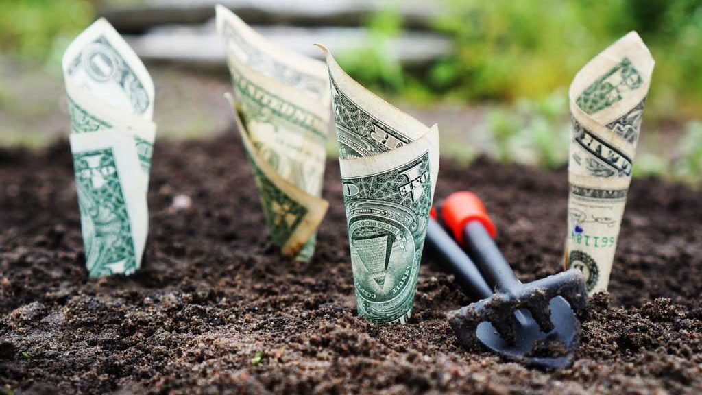 affiliate marketing