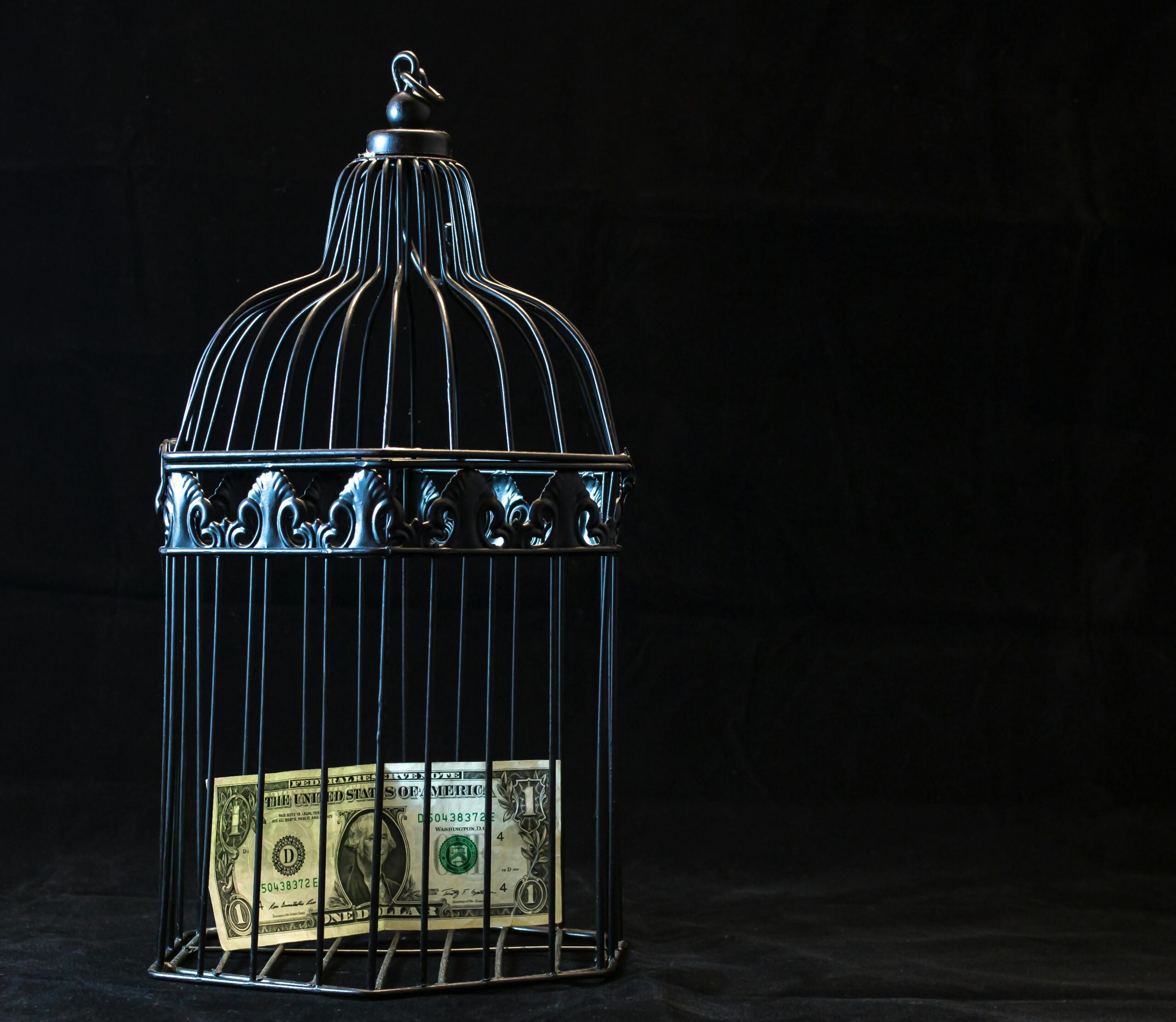 Schwarzer Stahl Haustierkäfig Mit Einem Dollar