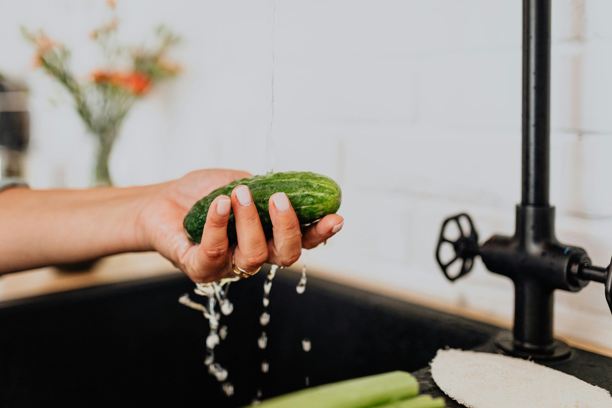 Kostenloses Stock Foto zu bakterien, erfrischend, ernährung